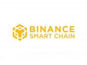 t_binance-smart-chain6387